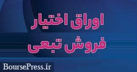 ادامه عملیات نجات احتمالی بورس با عرضه اوراق "خودرو و شپنا" از شنبه !