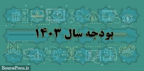 ایرادات لایحه بودجه 1403 بزودی از سوی شورای نگهبان اعلام خواهد شد