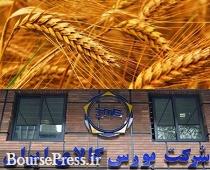 سیاست قیمت تضمینی گندم از سال آینده در بورس کالا