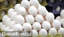 هر شانه تخم مرغ 2 هزار تومان کم شد