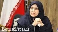 تولید خودروهای غیراستاندارد از دوشنبه آینده متوقف می شود