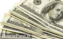 علت ادامه افزایش دلار از زبان یک صراف