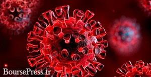 5 مورد ابتلا به نوع جدید ویروس کرونا در ژاپن گزارش شد