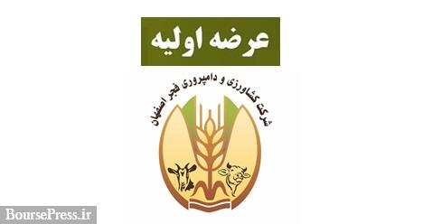 دومین عرضه اولیه سهام: امروز با روش ترکیبی در دو مرحله