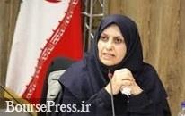 ارزیابی 85 استاندارد خودروهای داخلی شروع شد / درخواست از خودروسازان