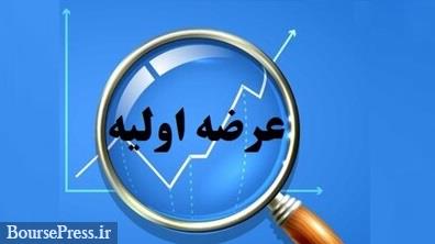 انتقادات فعالان بازار از روش عرضه اولیه جدید با مثالی از "کایزد"