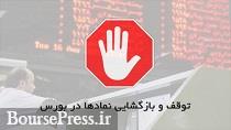 نماد زیرمجموعه "زکوثر" برای 5 روز کاری متوقف شد + دلیل