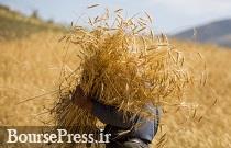 زمان موثر اعلام قیمت خرید تضمینی محصولات کشاورزی