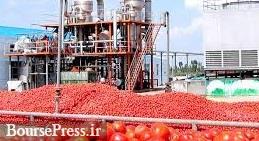 رفع اتهام گرانی از شرکت های تولید کننده رب گوجه