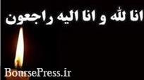 مدیرعامل شرکت فرابورسی در غم از دست دادن خواهر عزادار شد