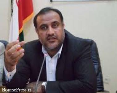 مهمترین گام دو ساله دولت از نظر عضو کمیسیون اقتصادی مجلس