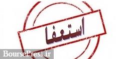 حذف استقلال از لیگ قهرمانان آسیا منجر به استعفای مدیرعامل باشگاه شد