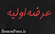 علت تاخیر در عرضه اولیه "امید" / سهم 4 سهامدار عمده در واگذاری