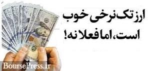 ارز تک نرخی در شرایط تحریم ممکن نیست/ تنها راه چاره سیاست تثبیت !