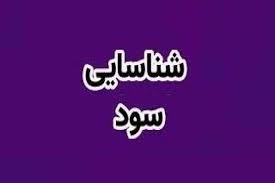 سود 3.1 میلیارد تومانی شرکت شیمیایی از فروش سهام زیرمجموعه