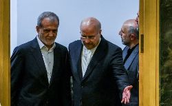 دلایل حضور سر زده پزشکیات در مجلس از زبان عضو کمیسیون برنامه و بودجه