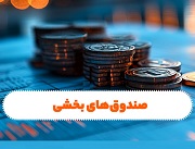 بازدهی منفی 2.8 تا مثبت 24.3 درصدی 30 صندوق بخشی