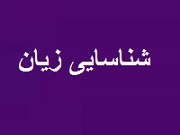"وتوصا" از عرضه اولیه سهام زیرمجموعه زیان کرد!