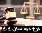 شفاف سازی "نوین" درباره آثار افزایش 33.4 درصدی نرخ دیه