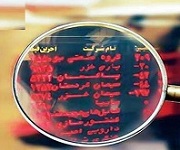 17 شرکت بورسی مشمول انتقال یا تنزل شدند + فهرست