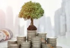 نهادهای مالی بورس 1216 تایی شدند/ سهم صندوق ها، هلدینگ ها و...