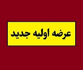 "هانیکو" دوازدهمین شرکت جدید هم به روش ترکیبی آماده عرضه اولیه شد