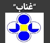 "غناب" با جهش 217 درصدی برای هرسهم41 ریال سود محقق کرد