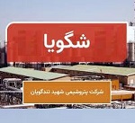 "شگویا" با ثبت افزایش سرمایه 42 درصدی 4.3 هزار میلیارد تومانی شد