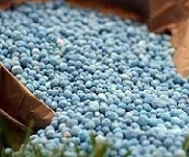 شفافسازی "شیراز" درباره قیمت اوره تحویلی به بخش حمایتی کشاورزی