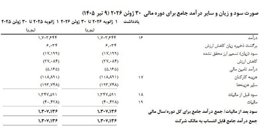 عملکرد 6 ماهه زیرمجموعه "وبملت" با شناسایی سود 1.3 میلیون یورویی