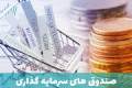 درخواست ورود سازمان بورس به موضوع رشد قارچ گونه صندوق ها