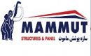 اولین زیرمجموعه ماموت با معرفی فساپ در نوبت عرضه اولیه ایستاد