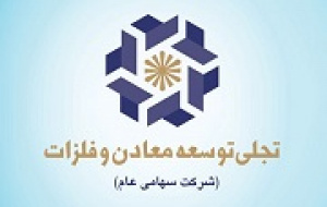 ورود تجلی به چرخه تولید و سودآوری با راه اندازی پروژه ها