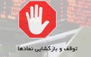 توقف موقت ۲۲ نماد، دو بانک و سایپا + ابطالی ها به ۱۲ مورد رسید