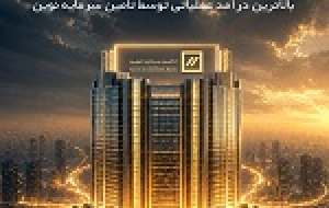کسب رتبه نخست بالاترین درآمد عملیاتی توسط تأمین سرمایه نوین