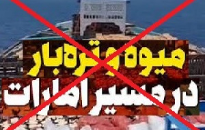 امارات ۳ میلیون دلار از میوه و تره‌بار صادراتی ایران را پس فرستاد!