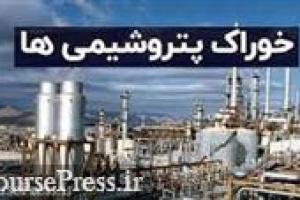 خوراک این پتروشیمی به دلیل عدم تمکین به مصوبه دولت قطع و کاهش یافت