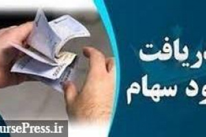 ۱۱ شرکت دیگر سود جاری و سنواتی ۱.۴ میلیون سهامدار را دادند