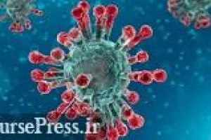 ۱۰۰۶ نفر در ۲۴ ساعت گذشته به کووید ۱۹ مبتلا شدند