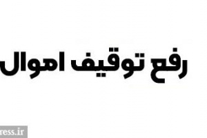 رفع محدودیت از اموال بازداشتی شرکت منجر به صف خرید سهام شد