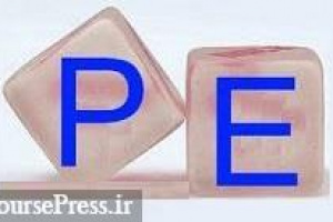 عضو جدید شورای عالی بورس کارشناس سهام و P/E شد و آینده را پیش بینی کرد!