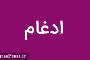 دو زیرمجموعه شرکت بورسی کشتیرانی ادغام شدند + دلیل