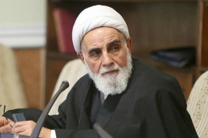 شرکت های خصولتی دچار سوء استفاده و مانند شیر بی یال و دم هستند