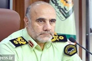 رییس پلیس تهران : سگ گردانی در بوستان جرم است/ اقدام فوری برای شاکیان