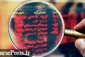 شرایط و زمان عرضه بلوک ۶.۷۱ درصدی شرکت بورسی اعلام شد