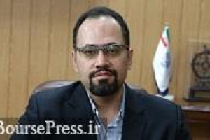 نقش ۸۰ درصدی غیرحرفه ای ها در نوسان بازار و گزارش های مطلوب پنهان
