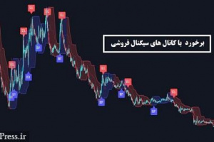 باید با سیگنال فروشان بورس برخورد و خلأهای قانونی رفع شود