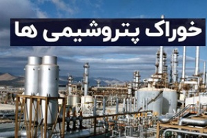 تخفیف خوراک شرکت های پتروشیمی مشمول ۱۰ تا ۱۷ درصد تعیین شد