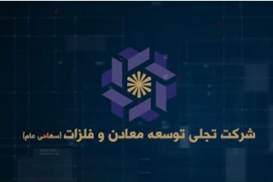 سهامداران تجلی در سه ماه اخیر چقدر سود کردند؟