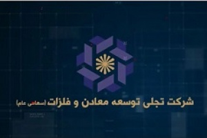 درآمد ۱۲۰.۱ میلیاردی تجلی از سود سهام و میزان سرمایه گذاری در صنایع
